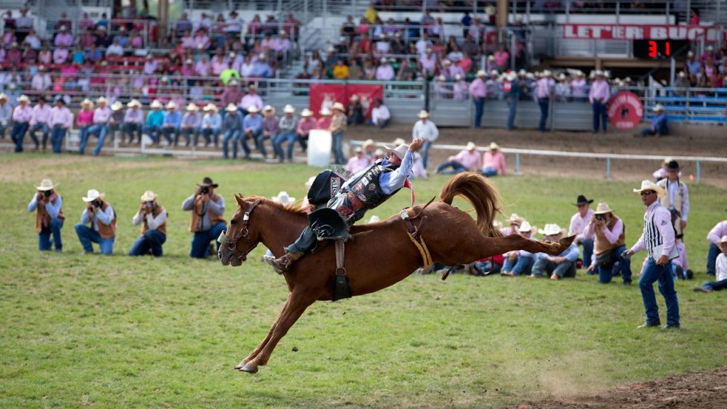 Let Em Buck Rodeo